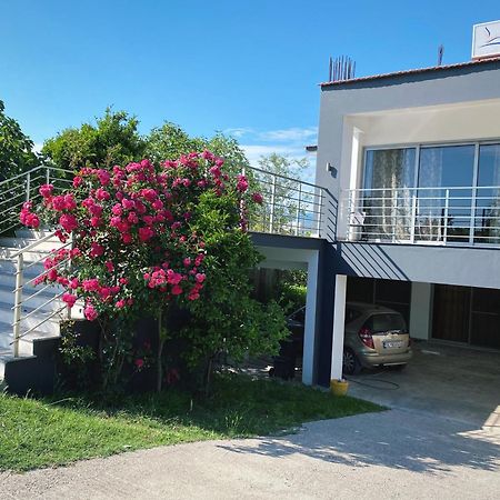 Leli Apartments 울친 외부 사진
